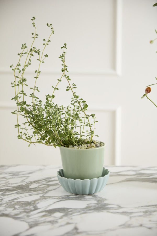 Spring Pot with Saucer