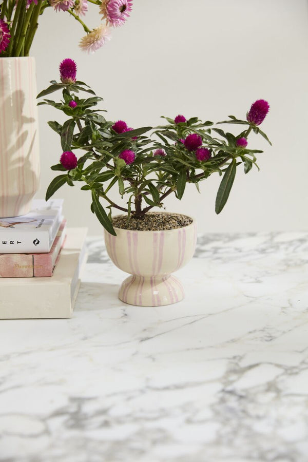 Bobbi Compote