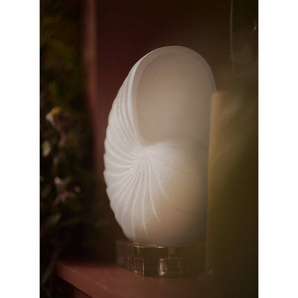 Nautilus Shell Large