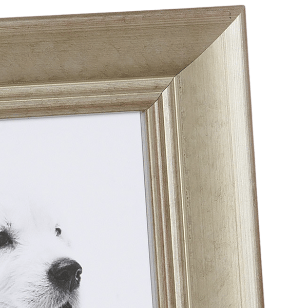 Gilded Silver Picture Frame