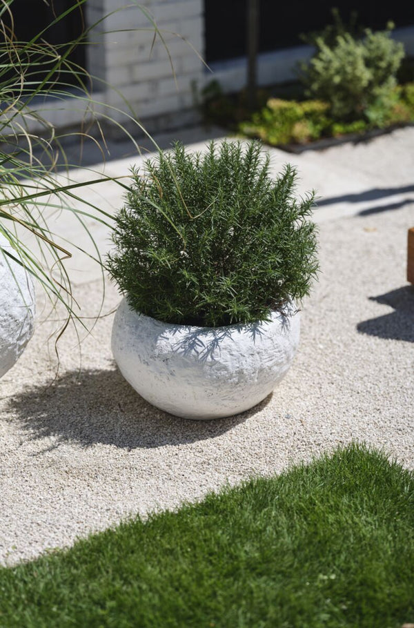 Island Bowl Small