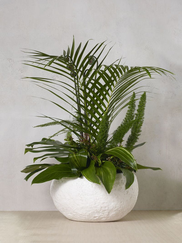 Island Bowl Small