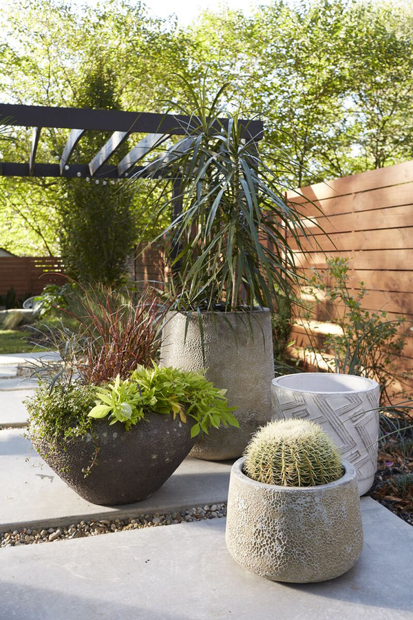 A beige and brown textured pot with a porous surface, displayed in an outdoor setting with other pots and plants in the background.