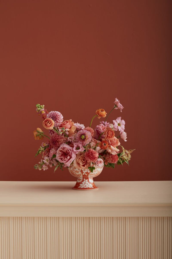 Coral Compote