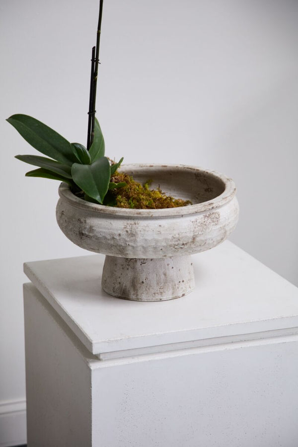 Grace Footed Bowl