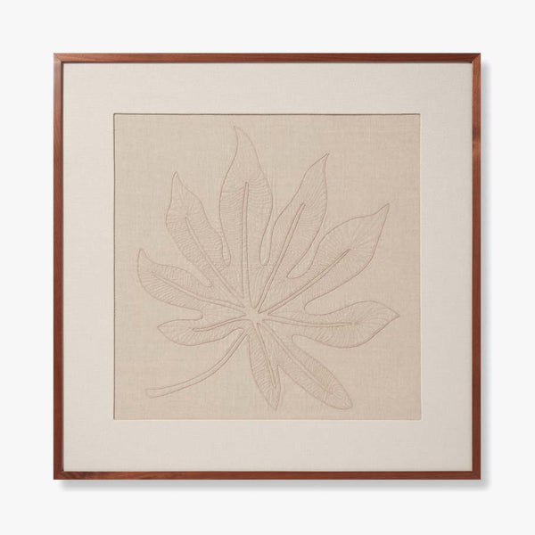 Schefflera