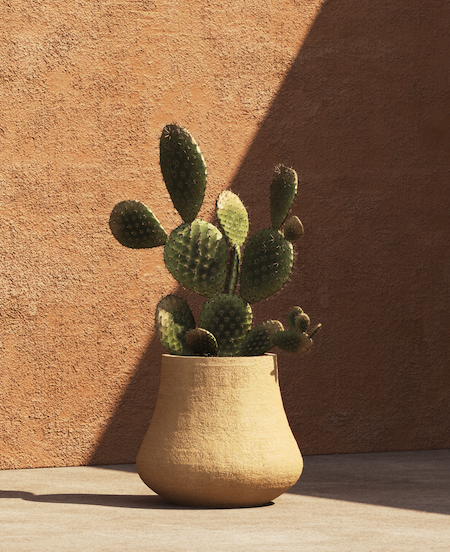 Belle Planter - Large