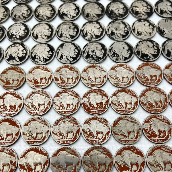 Buffalo Nickel - Study II