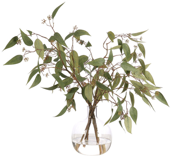 Eucalyptus in Glass Jug