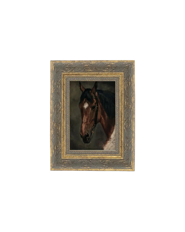 Horse Portrait
