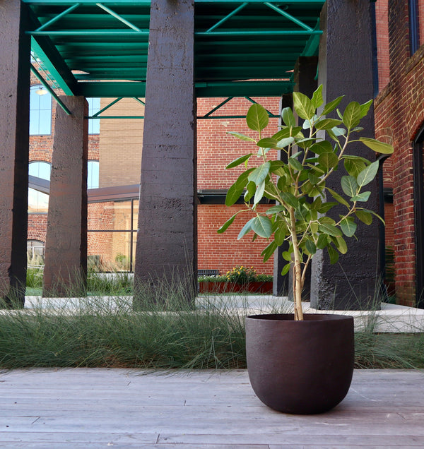 Perugia Planter