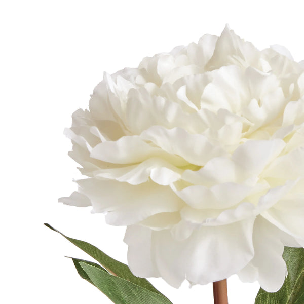 Mini Potted Peony