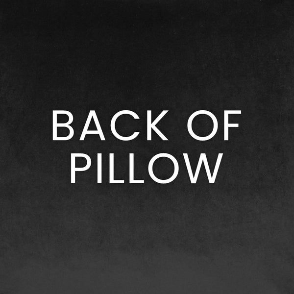 Everly Pillow - 24x24
