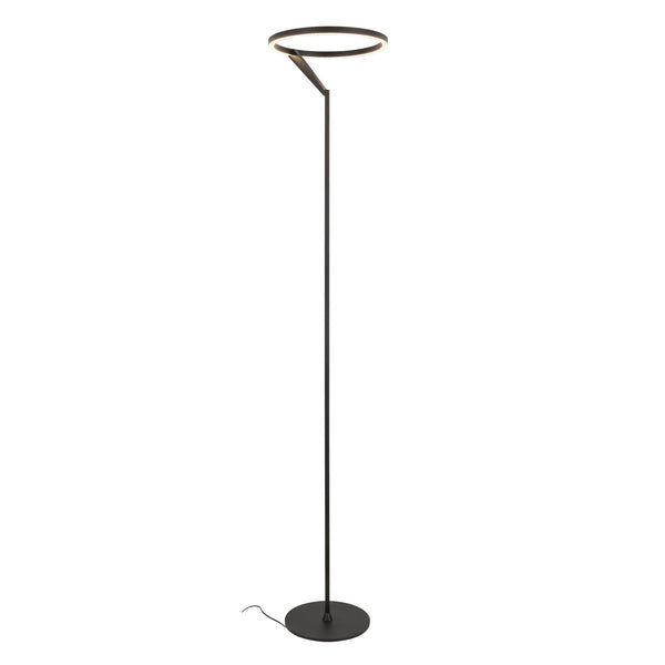 Roan 66" Floor Lamp