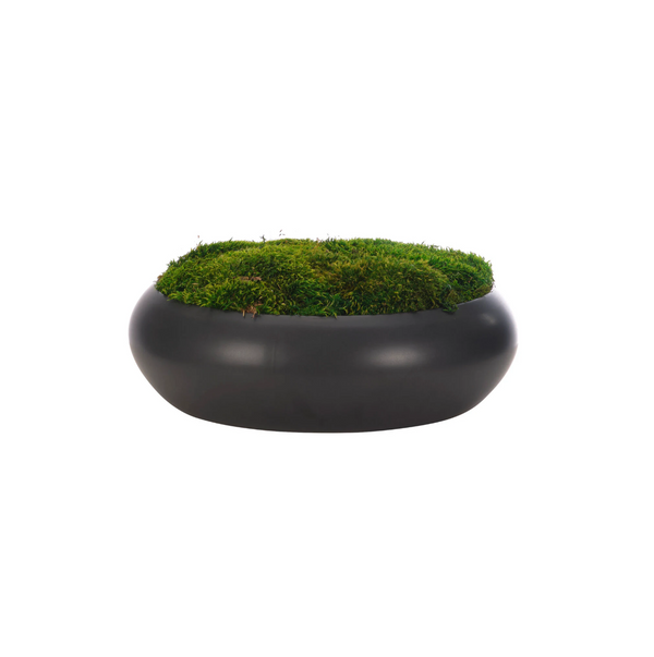 Moss Mound - 6"