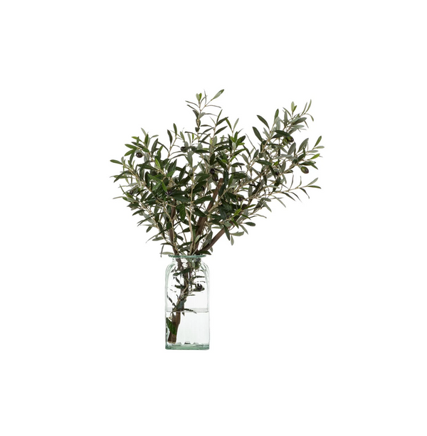 Olive Branch in Glass Vase