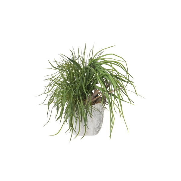 Mixed Grass/Driftwood in Coral Vase
