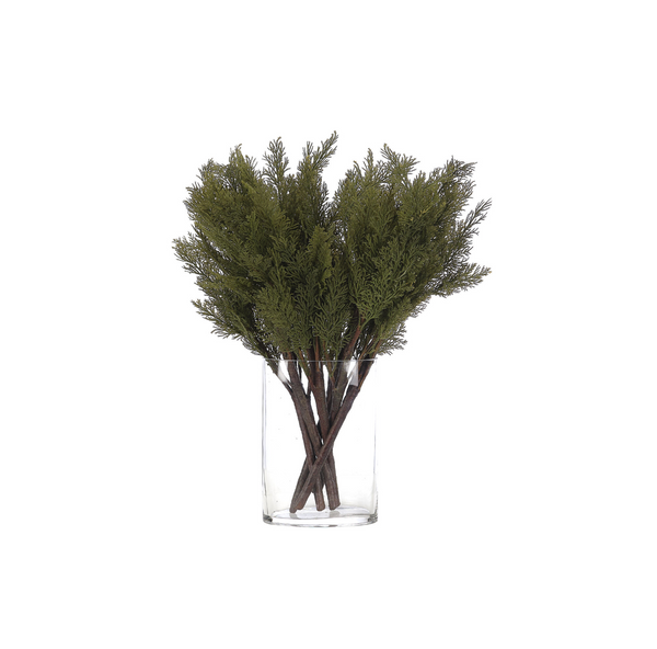 Cypress Branch
