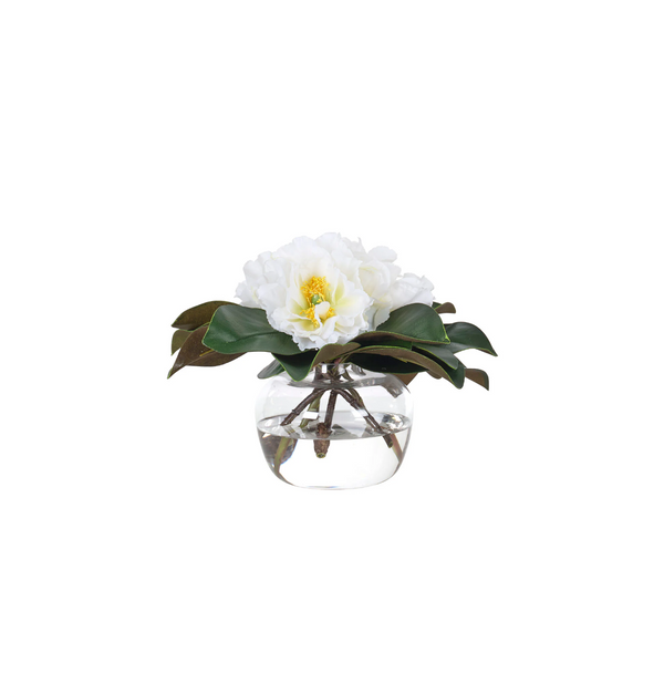 Peony Magnolia Foliage in Glass Vase