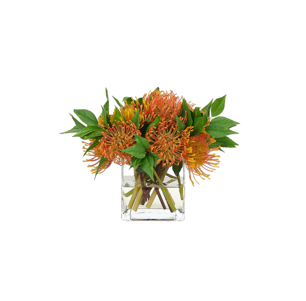 Protea in Glass Cube