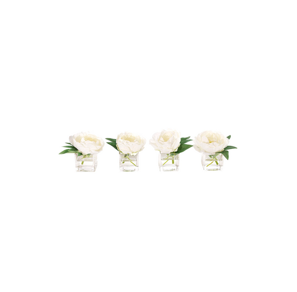 Peony in Glass Cube