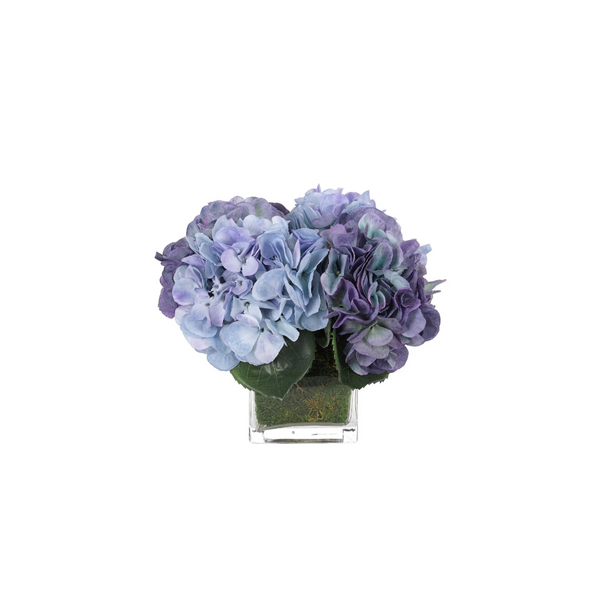 Hydrangea and Faux Moss in Glass Cube