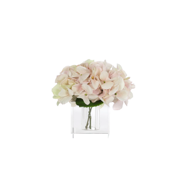 Cream/pink Hydrangea in Glass Vase