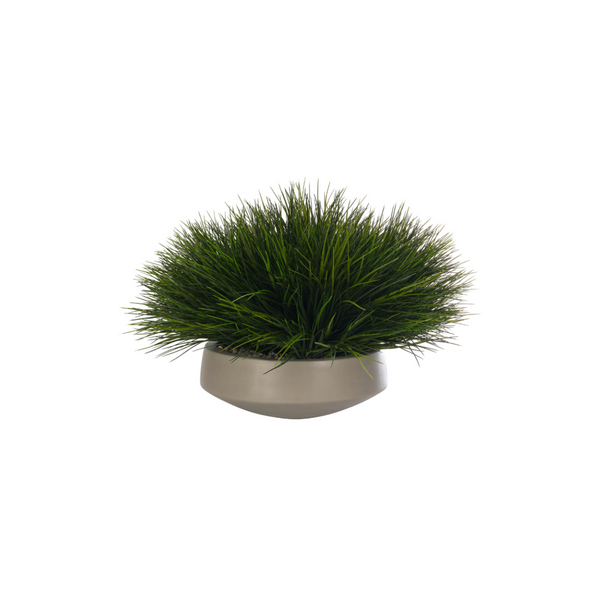 Grass in Concrete Bowl