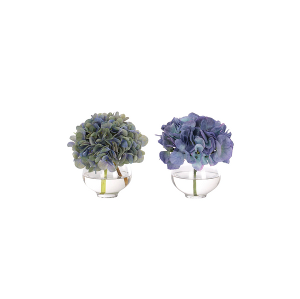 Blue/purple Hydrangea in Glass Vase