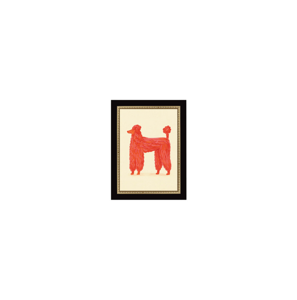 Parisian Poodle