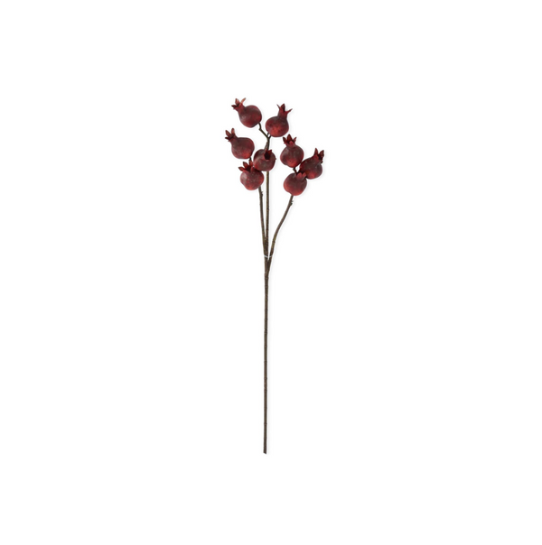 Burgundy Pomegranate Stem