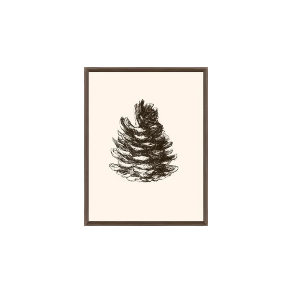 Pinecones Passion