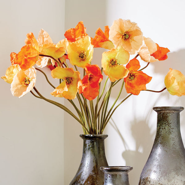 Poppies 27" - Bundle of 6