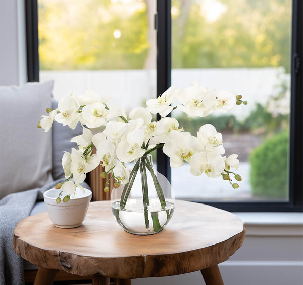 White Phalaenopsis Orchid in Glass Bubble
