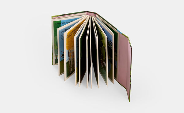 A Family of Trees : My First Book of Forests