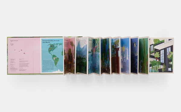 A Family of Trees : My First Book of Forests