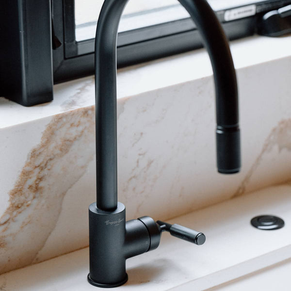 KITCHEN FAUCET / PULL-OUT WITH DUAL SPRAY / LINEAR