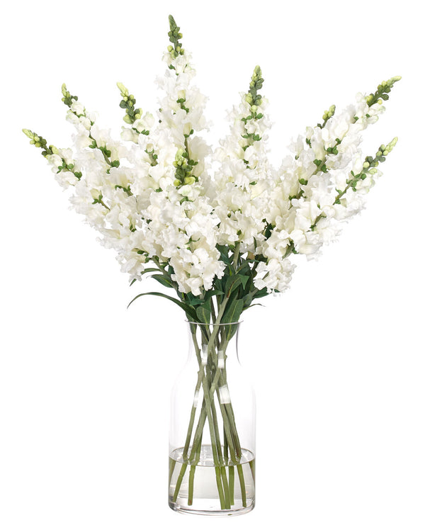White Snapdragon Arrangement