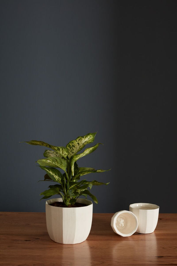 Geometric Pot