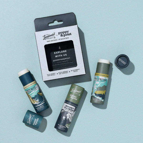 Lip Balm Gift Set - The Landmark Project