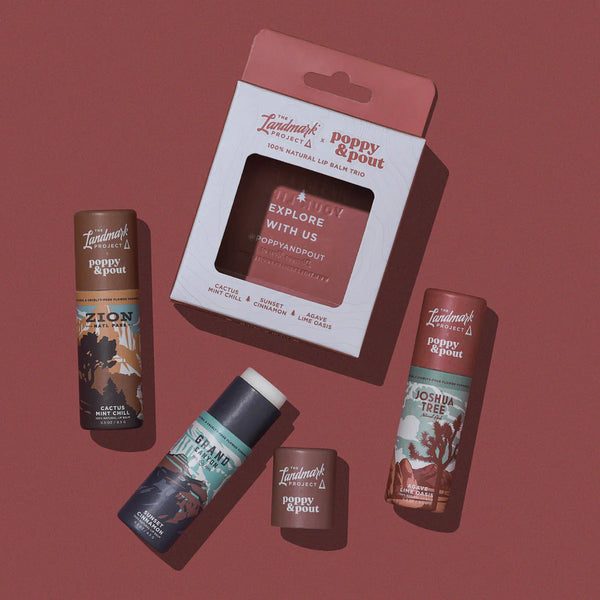 Lip Balm Gift Set - The Landmark Project