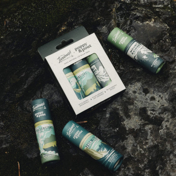 Lip Balm Gift Set - The Landmark Project