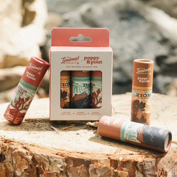 Lip Balm Gift Set - The Landmark Project