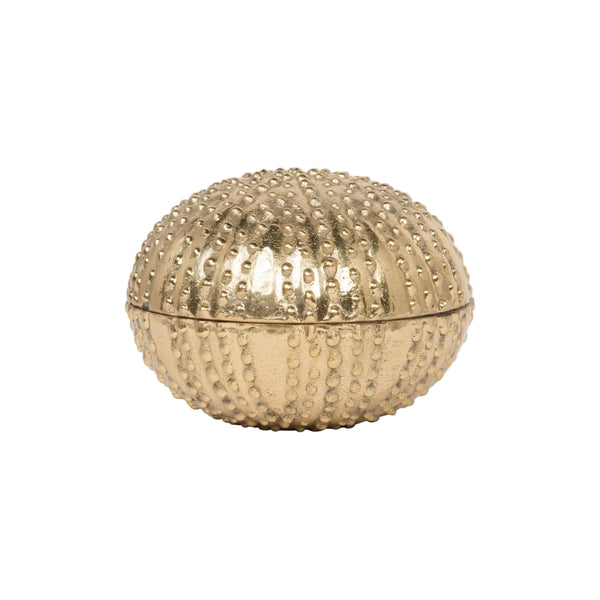 Sea Urchin Dish