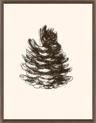 Pinecones Passion