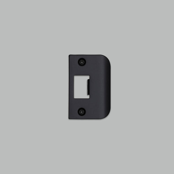 STRIKE PLATE KIT / D SHAPED / STANDARD DOOR