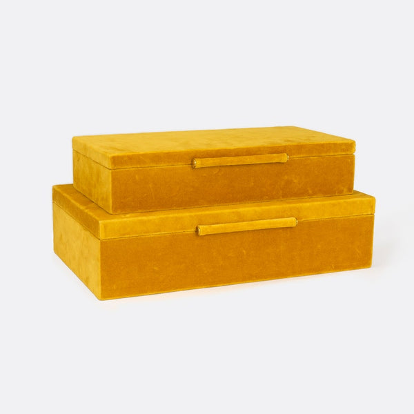 Cadence Box