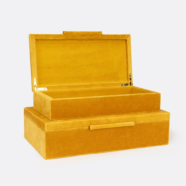 Cadence Box