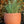 Perugia Planter
