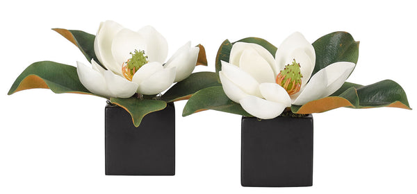 White Magnolia in Ceramic Square